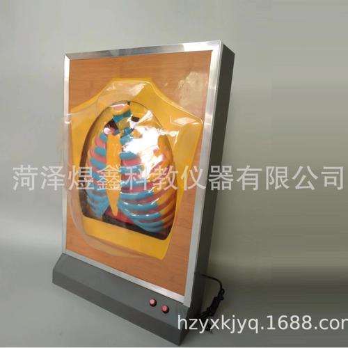 中國商品代購與淘集運(yùn) 聚焦醫(yī)藥教學(xué)器材的專業(yè)通道