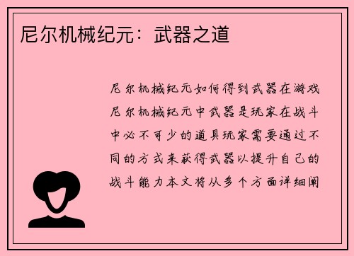 尼尔机械纪元：武器之道
